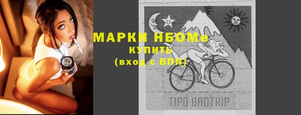 винт Ельня