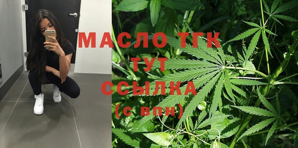 винт Ельня