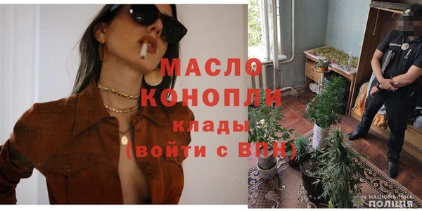 винт Ельня