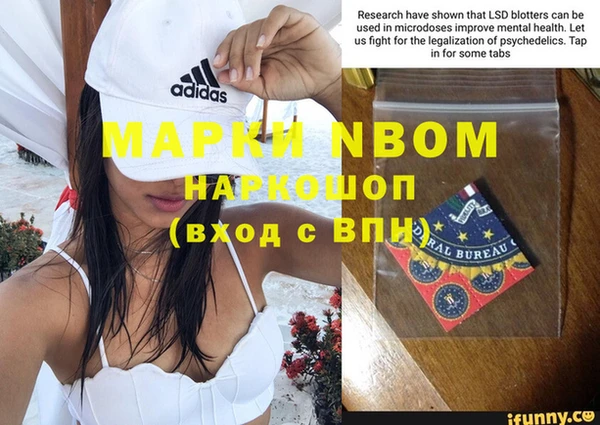 винт Ельня