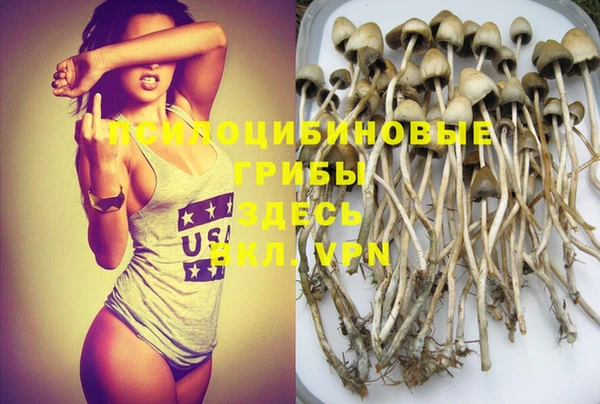 винт Ельня