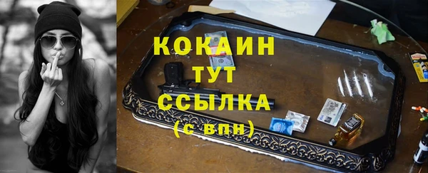 винт Ельня